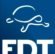 Лого на fdt